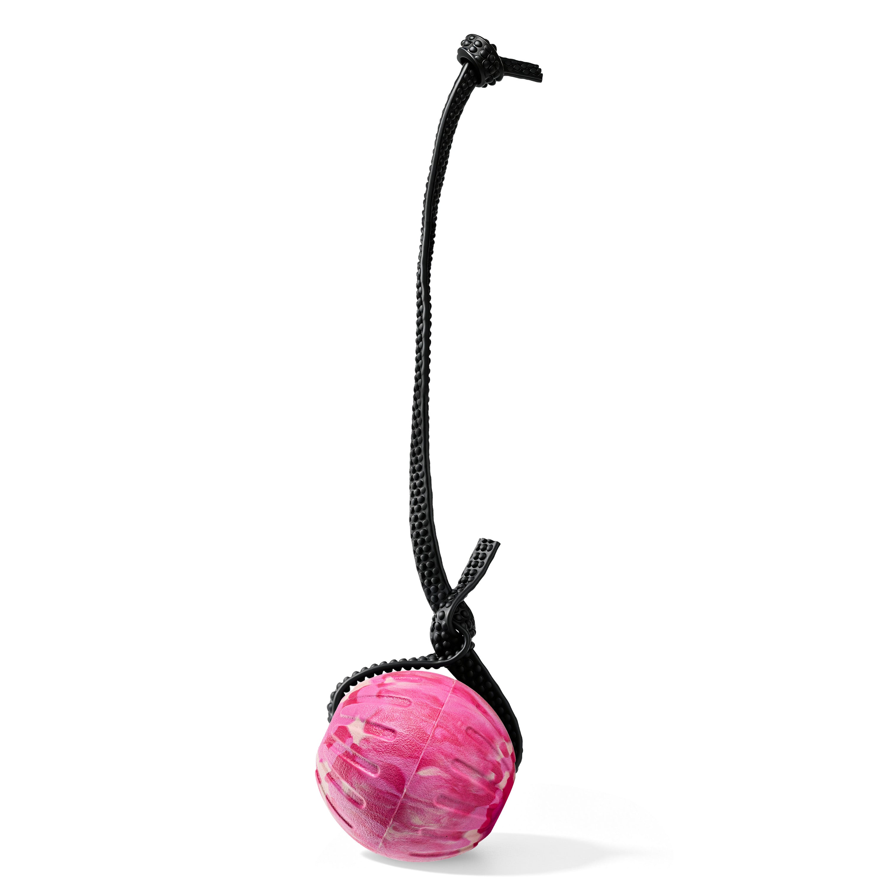 Indestructible Dog Ball