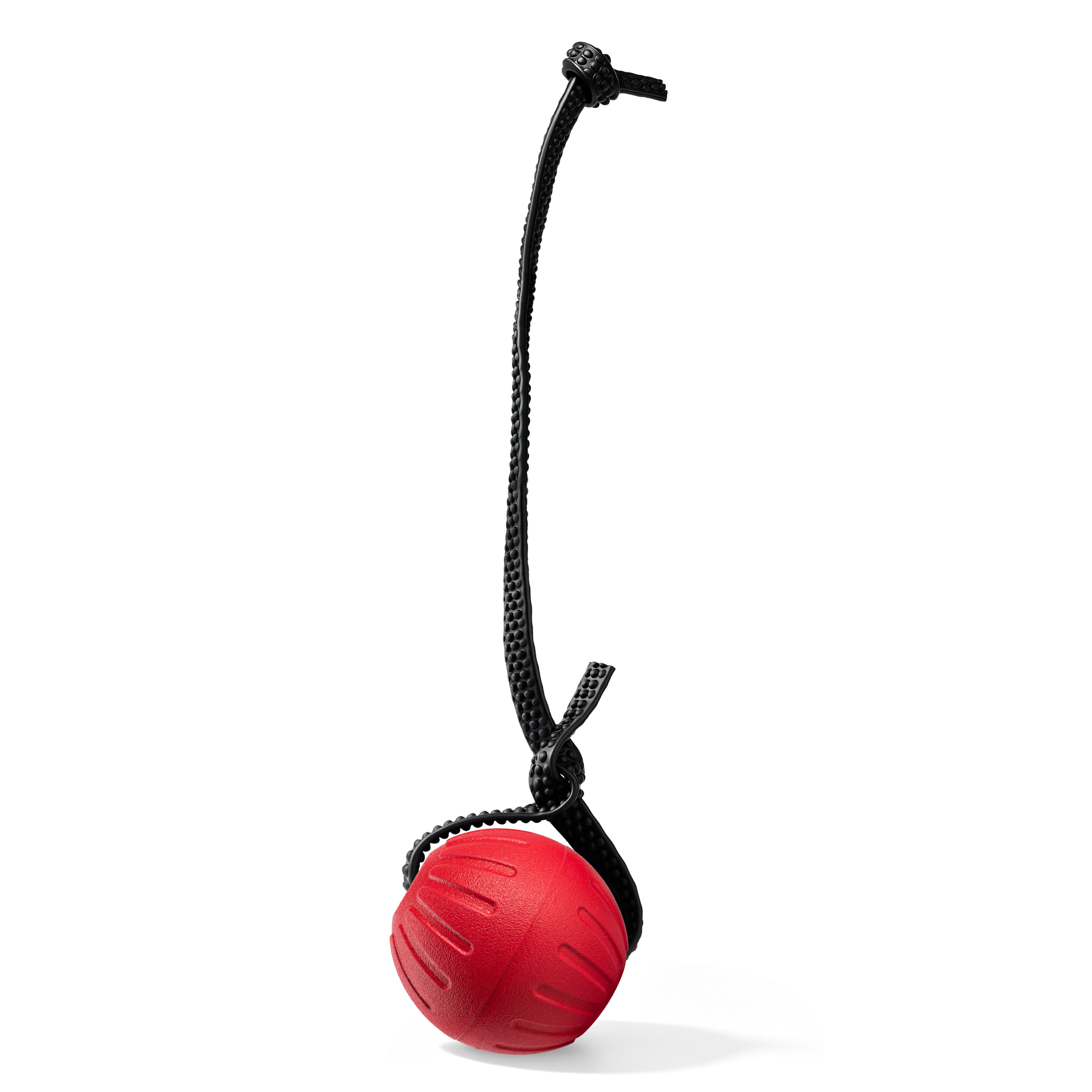 Indestructible Dog Ball
