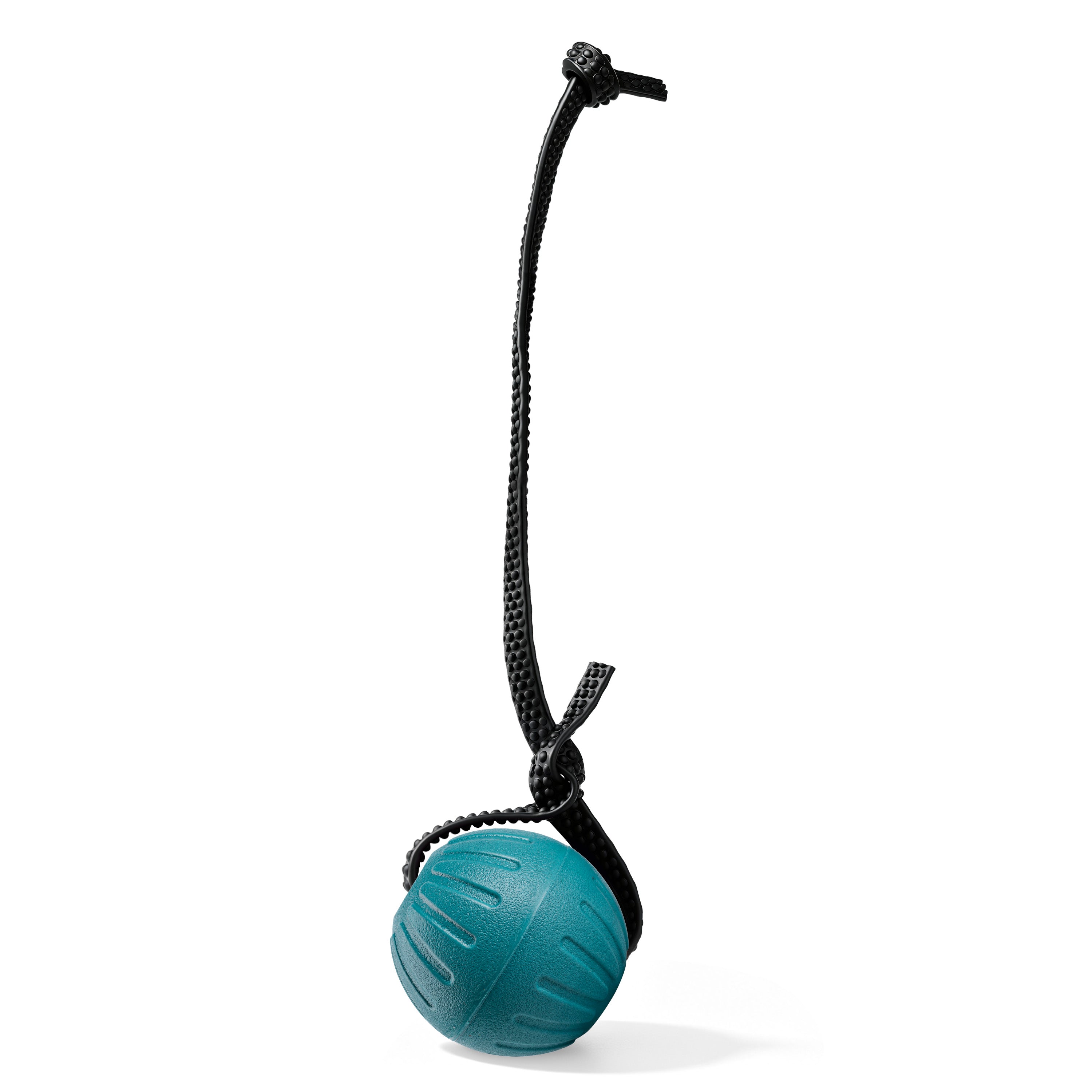 Indestructible Dog Ball