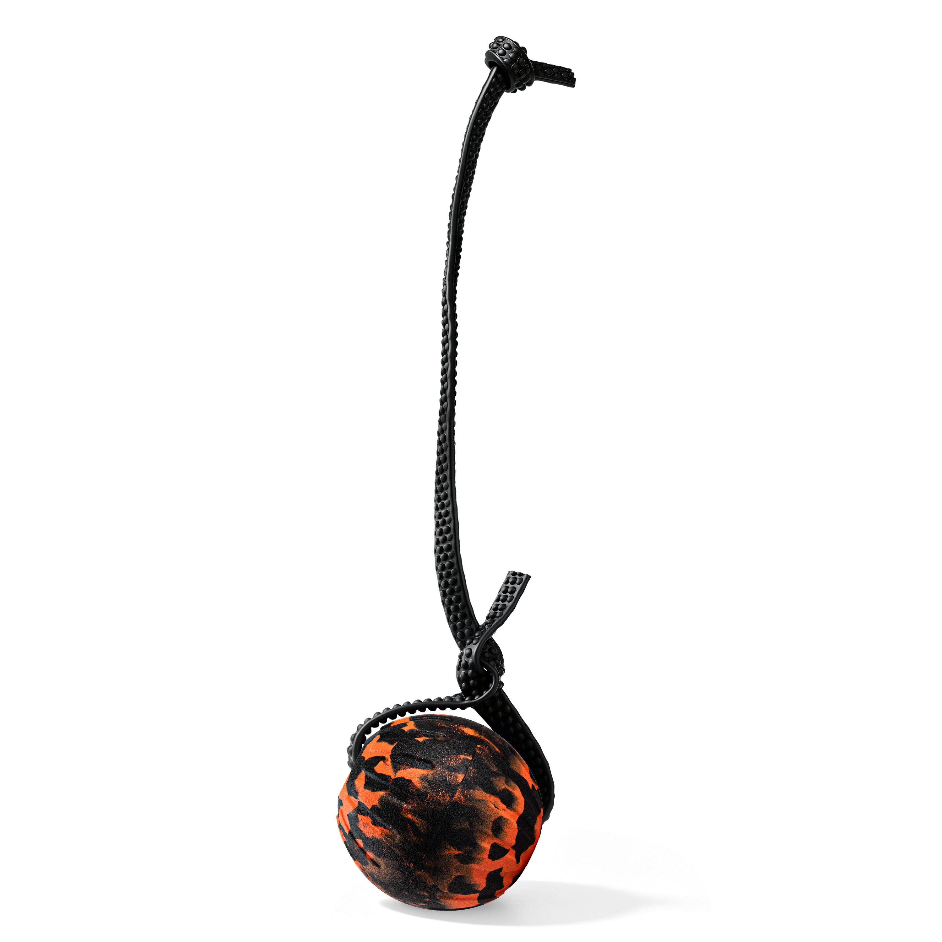 Indestructible Dog Ball