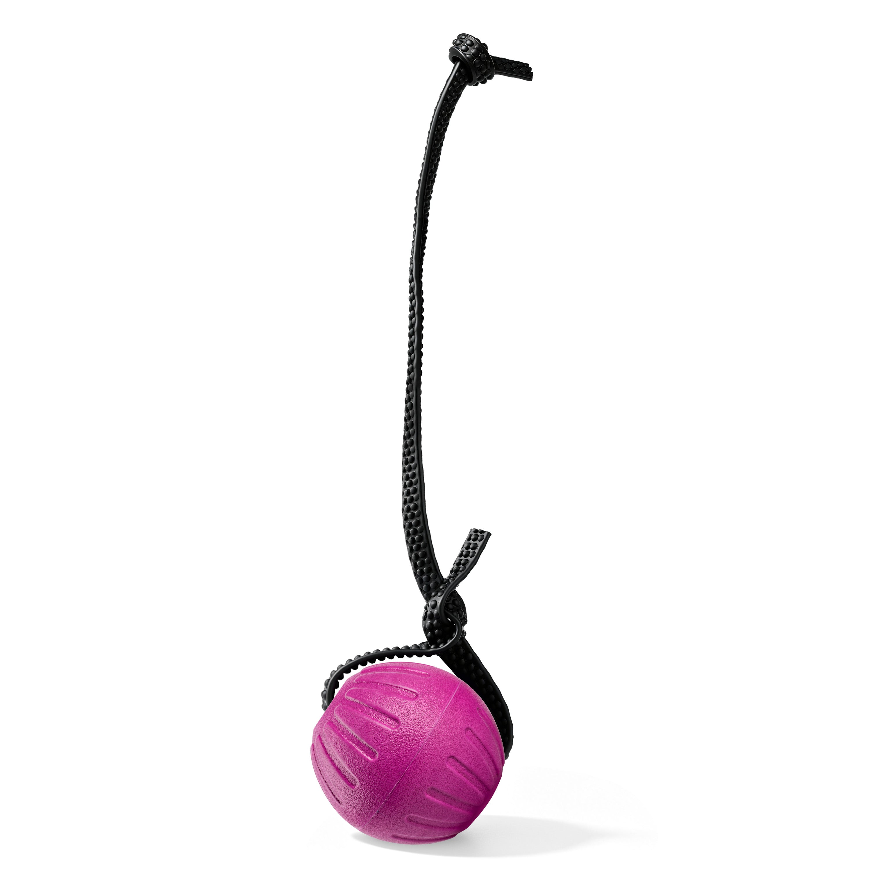 Indestructible Dog Ball