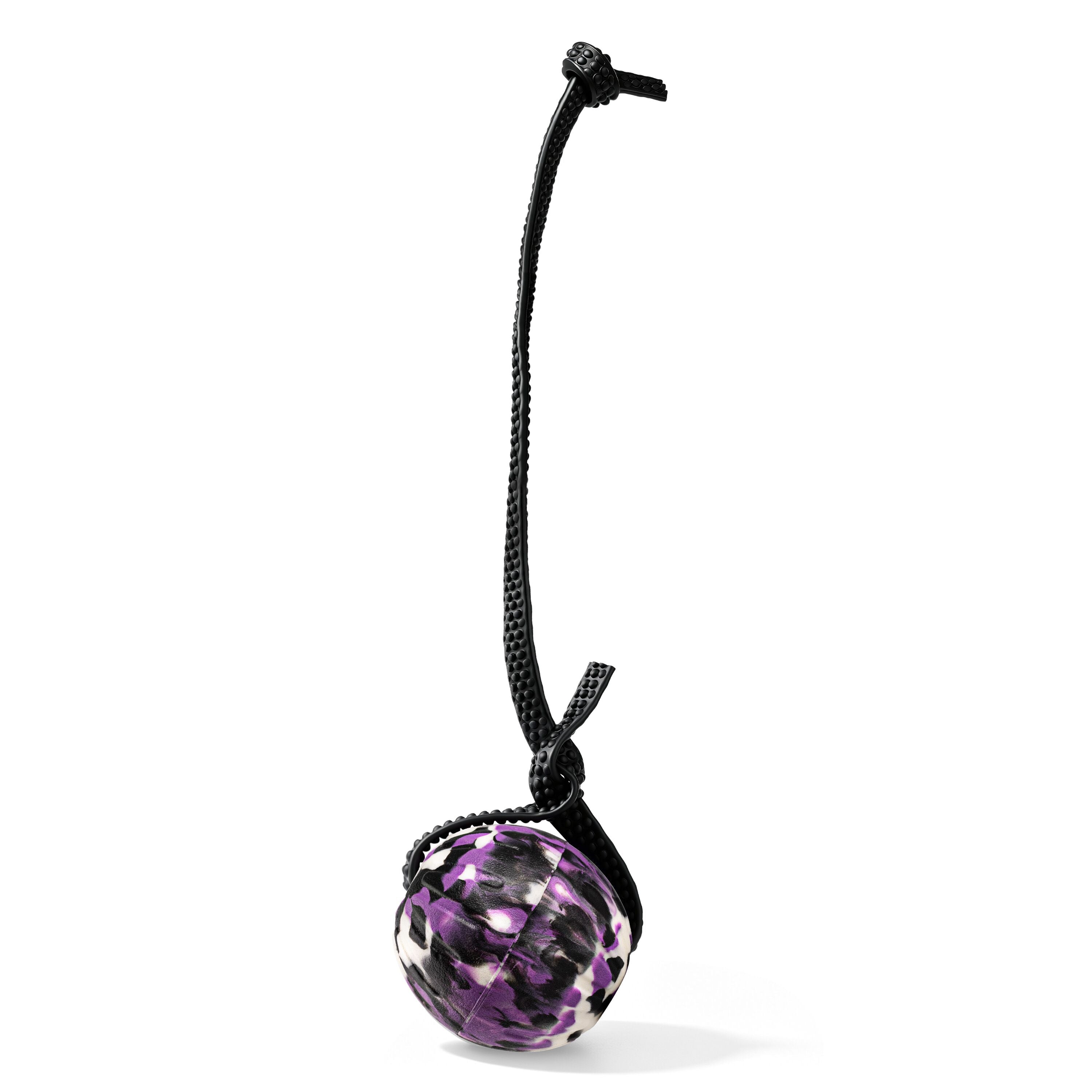Indestructible Dog Ball