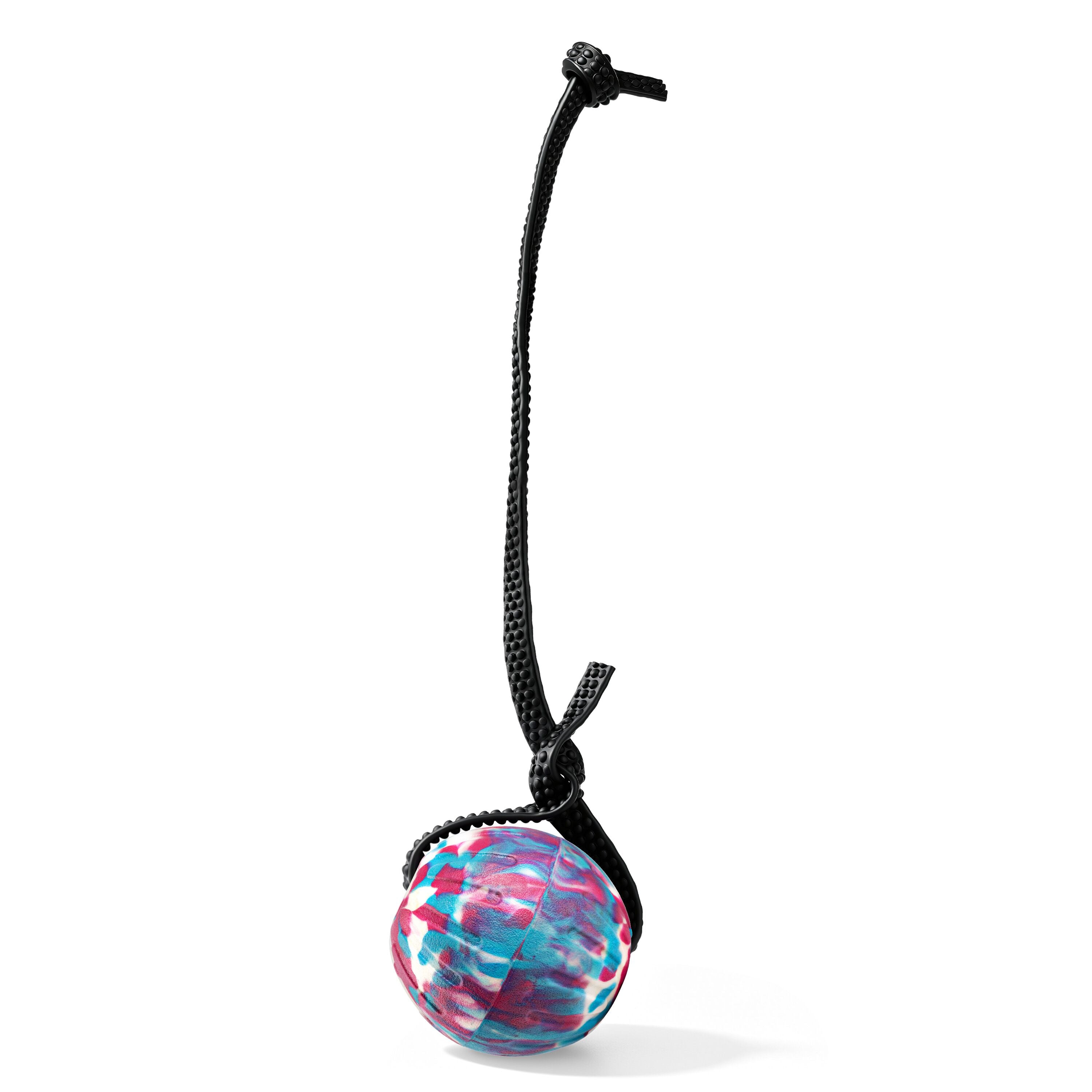 Indestructible Dog Ball