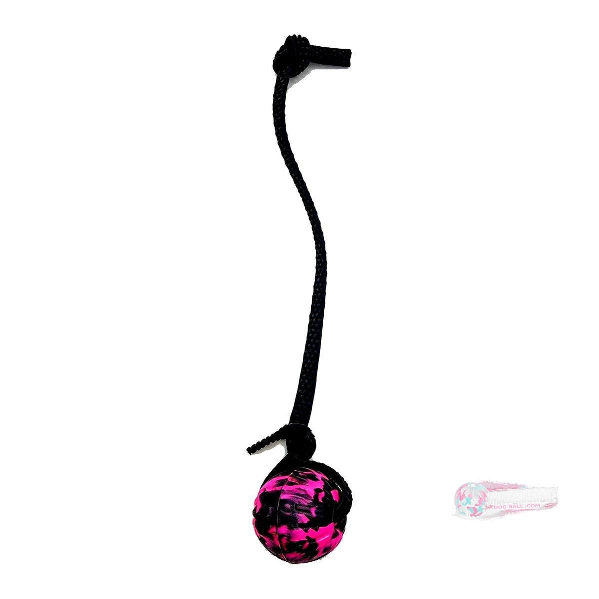 Indestructible Dog Ball