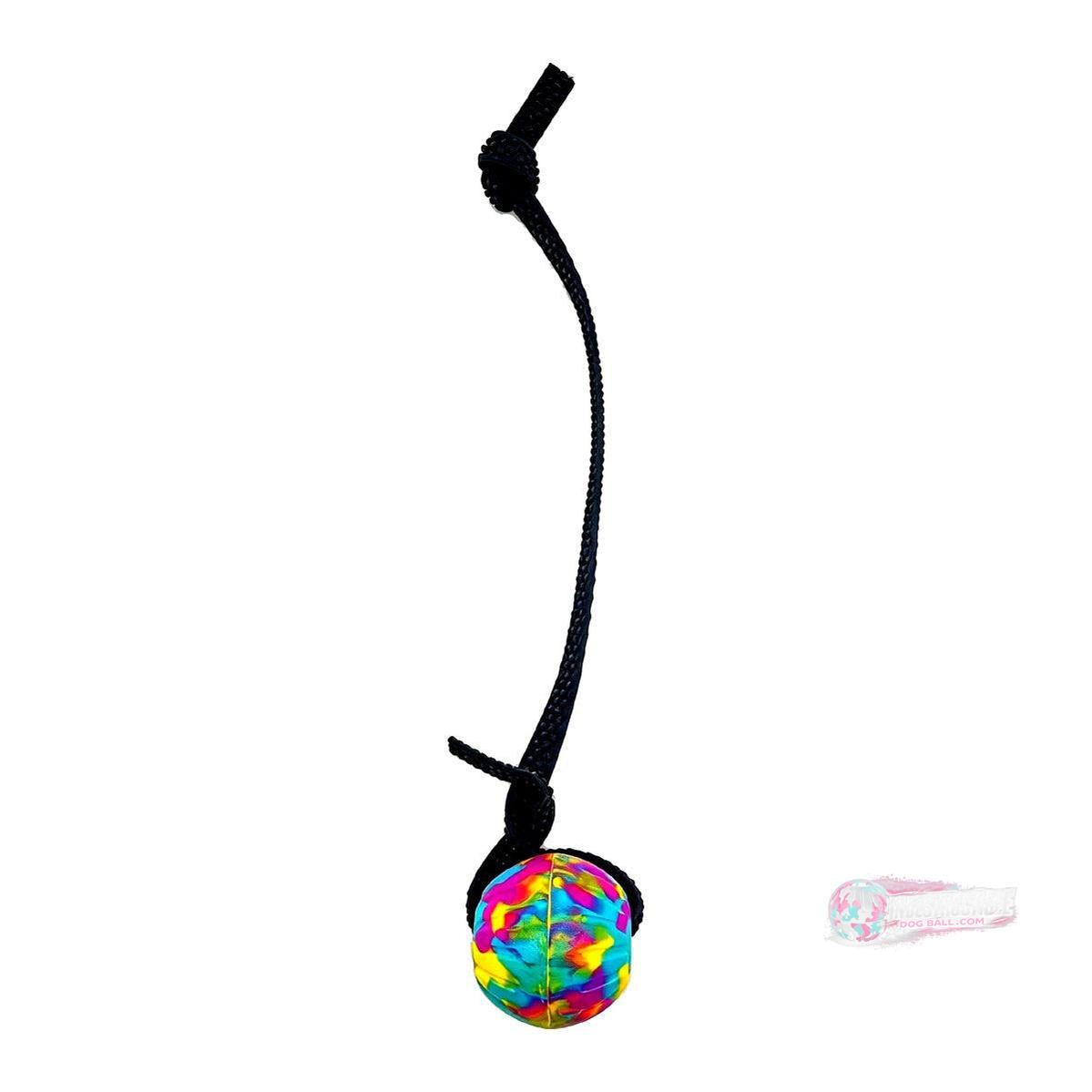 Indestructible Dog Ball