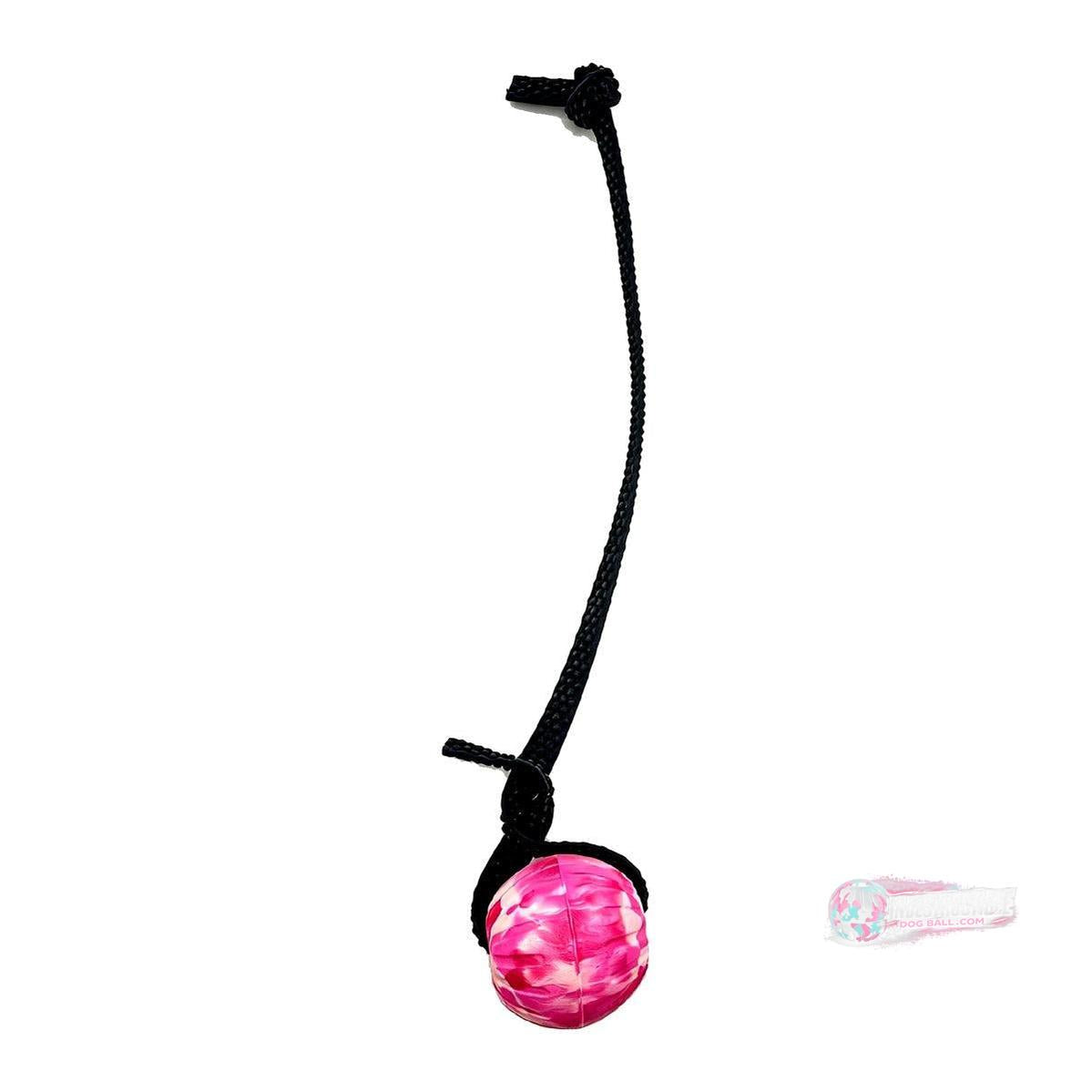 Indestructible Dog Ball