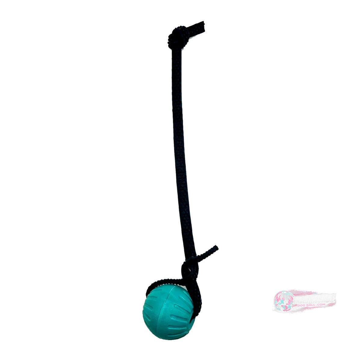 Indestructible Dog Ball