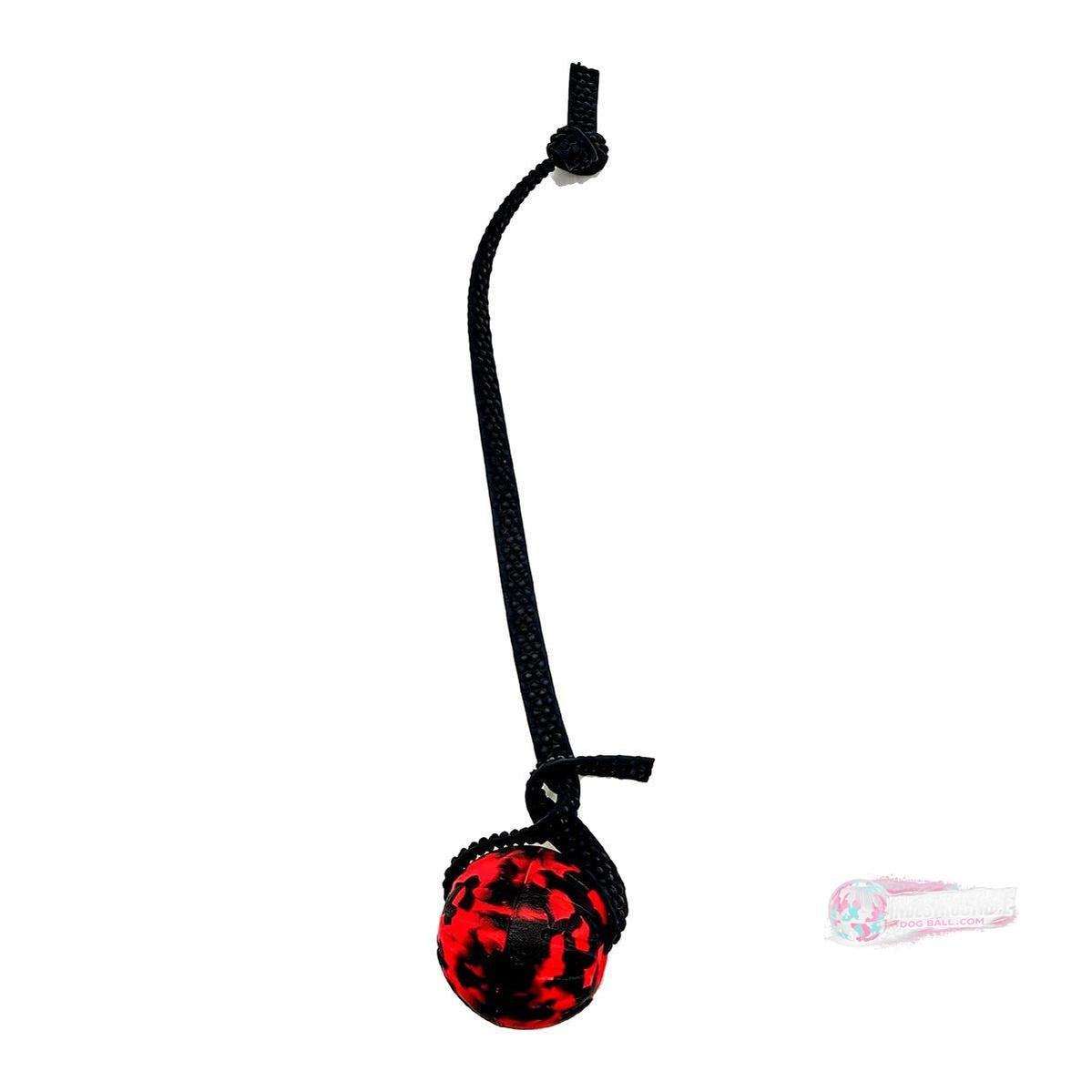 Indestructible Dog Ball