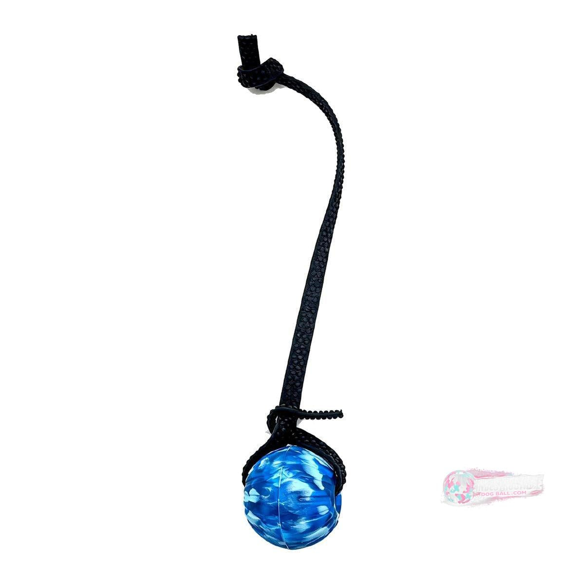 Indestructible Dog Ball